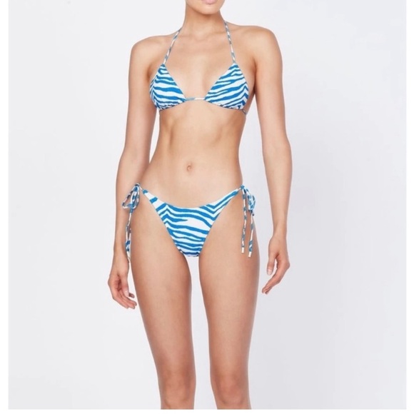 triangl blue zebra print - Picture 1 of 1